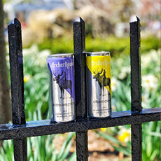 Archer Roose Cans in Brooklyn Bridge Park